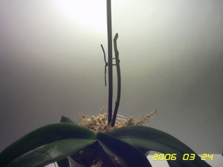 PICT0018.jpg