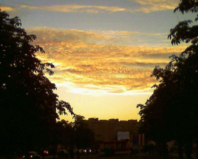 Photo-0194.jpg