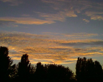 Photo-0195.jpg