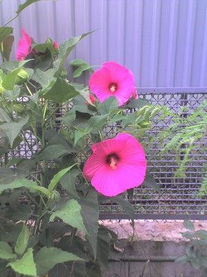 28-08-07_1124.jpg