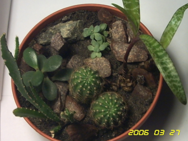 PICT0027.jpg