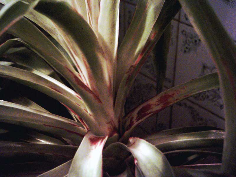 PHOT0001.jpg