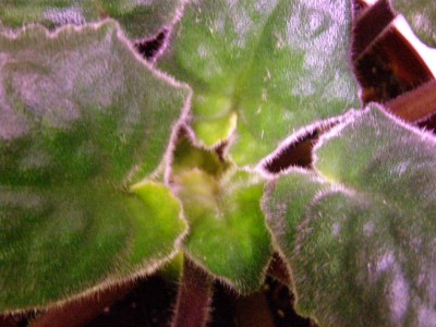 PA030083.JPG
