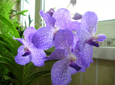 DSCN3295.JPG