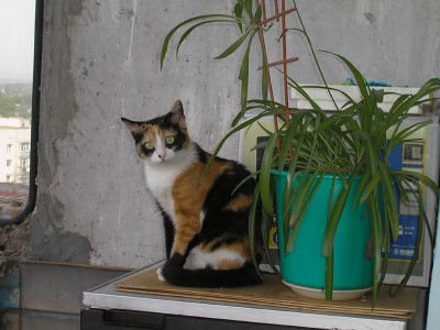 P5230035.jpg1.jpg