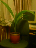 060331_222131.jpg