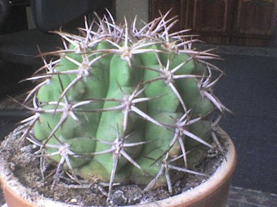 DSC00014.JPG