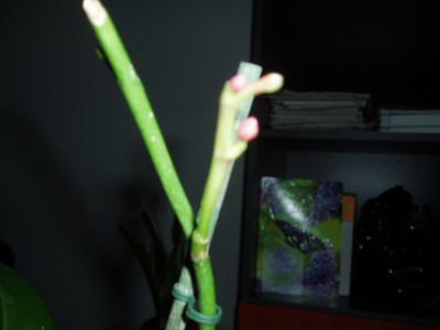 PB294041.JPG