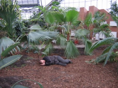Max_sleep_r.jpg