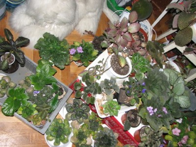 IMG_1608.JPG