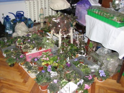 IMG_1604.JPG