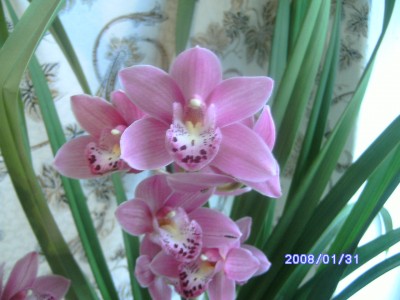 PICT0413.JPG