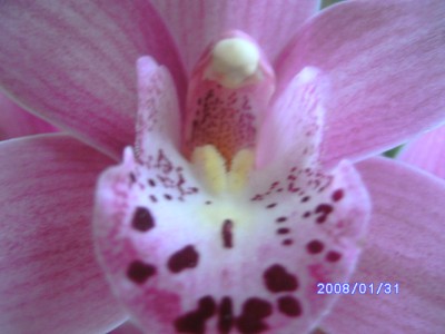 PICT0411.JPG
