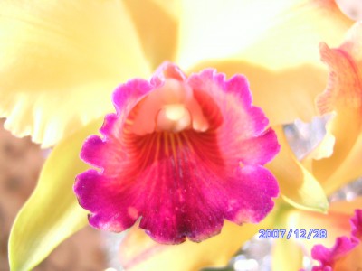 PICT0082.JPG