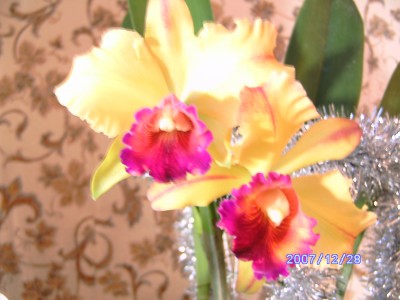 PICT0072.JPG