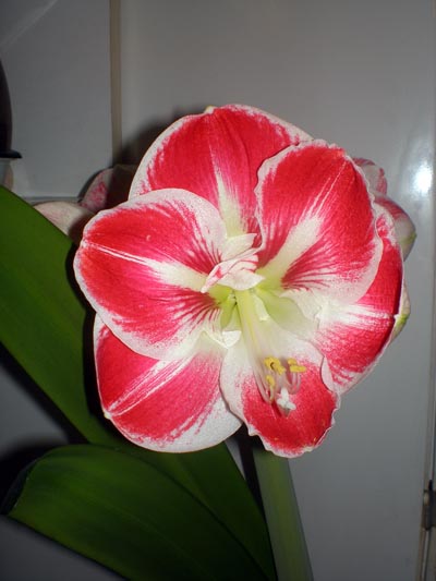P1250042.jpg