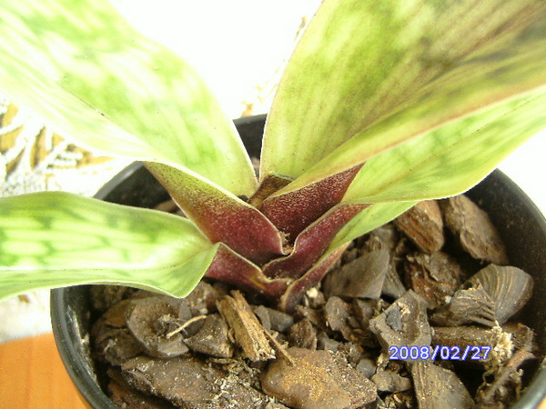 PICT0585к.jpg