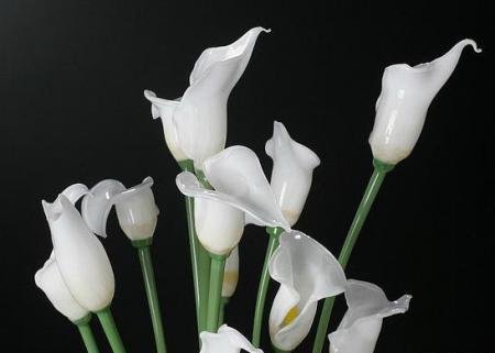 40413_18593.jpg