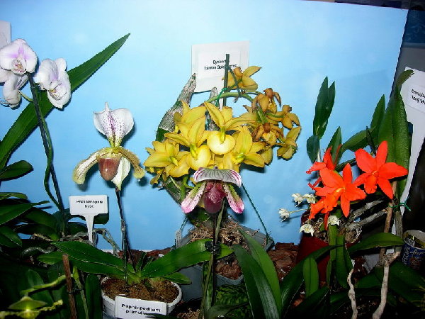 DSCN40320001.JPG