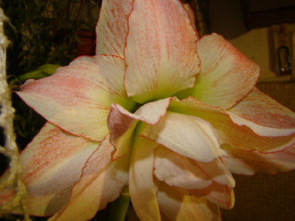 DSC00325.JPG