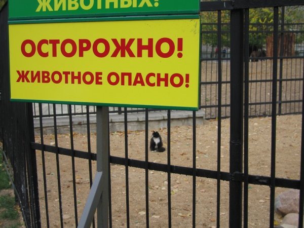 39263.jpg