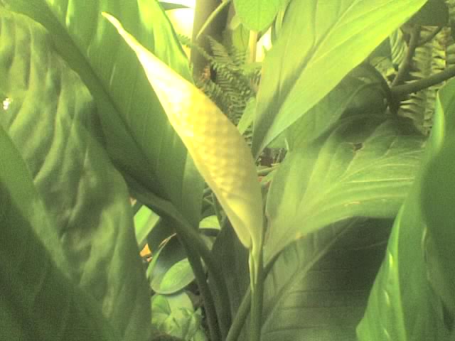18-04-06_0925.jpg
