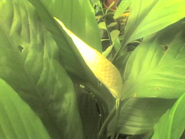 18-04-06_0924.jpg