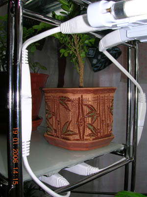 photo23.jpg