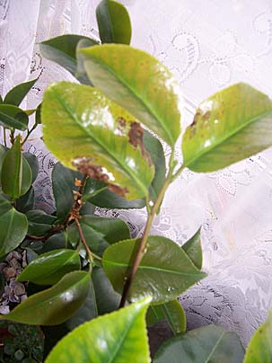 100_21201.jpg