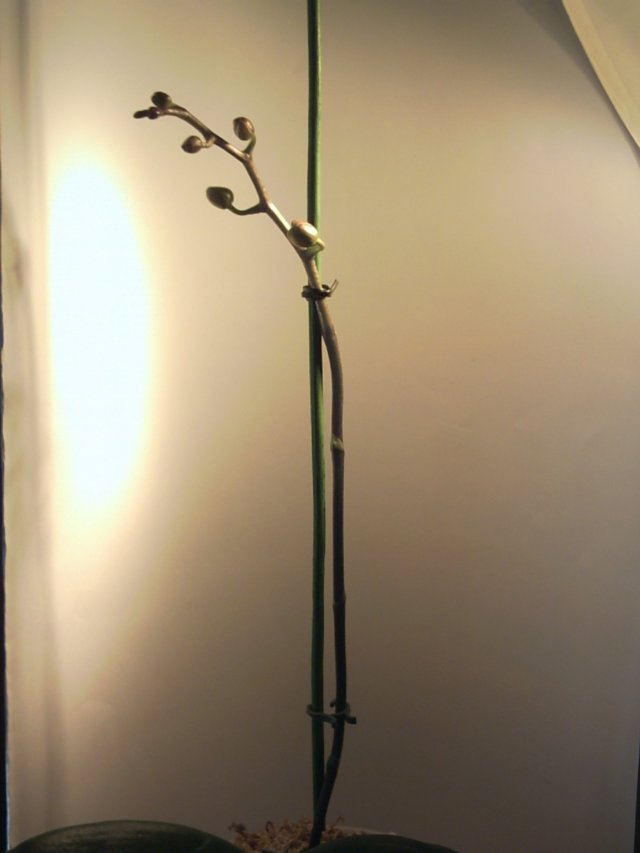 PICT0069.jpg