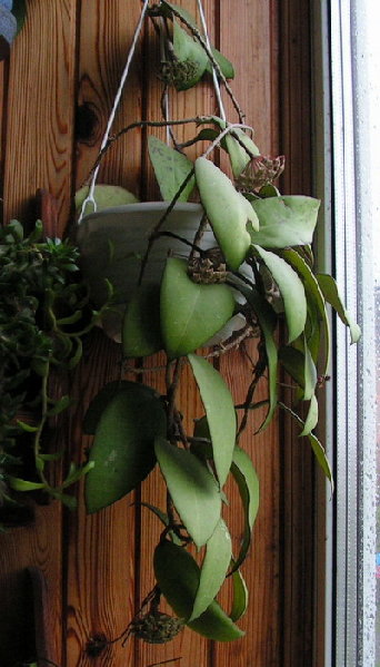 PICT0063sm.jpg
