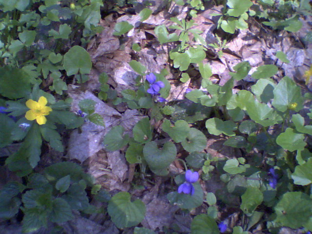 Ph0012.jpg