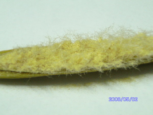 PICT0793.JPG