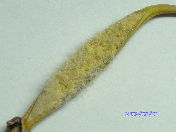 PICT0789.JPG