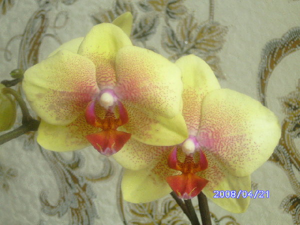 PICT0768.JPG