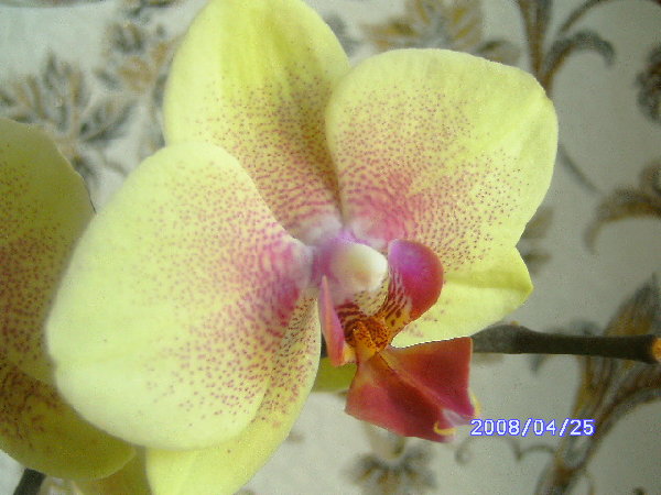 PICT0784.JPG