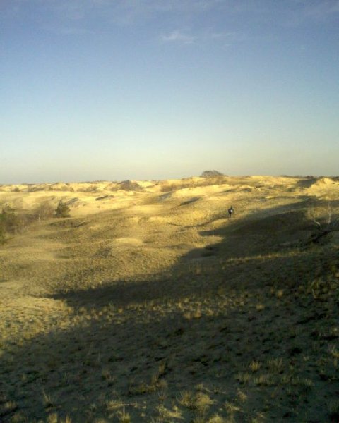 SP_A0070.jpg
