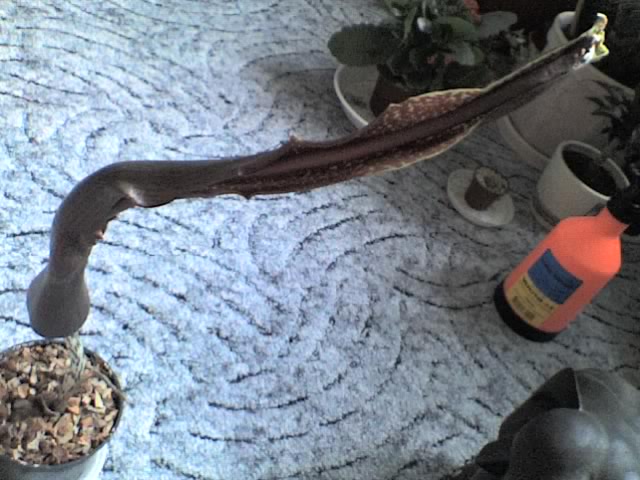 28-04-06_0839.jpg