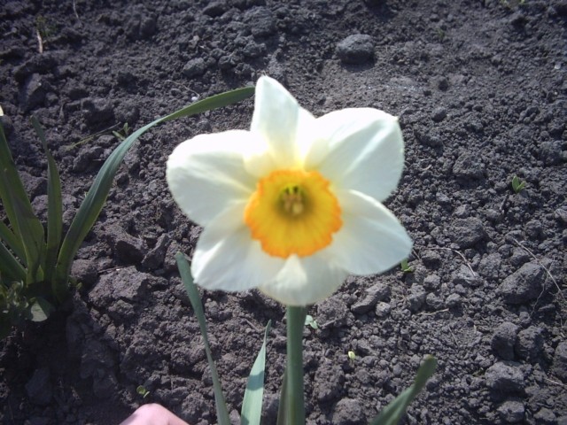 PICT0075.jpg