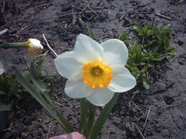 PICT0074.jpg