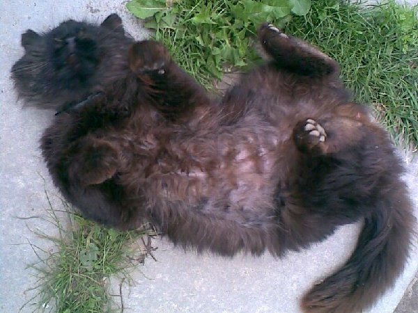 010 КУЗЯ 2.jpg