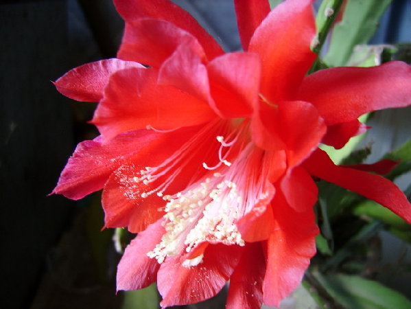 SSA50225.jpg