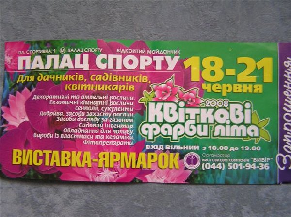 6.JPG