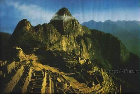41928_490.jpg