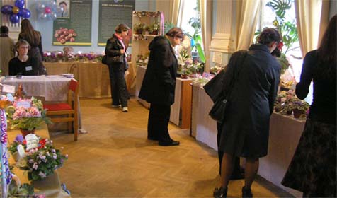 P4290144_s.JPG