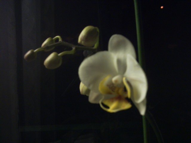 PICT0100.jpg