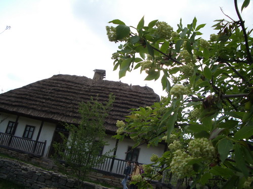 pirogovo 11.jpg