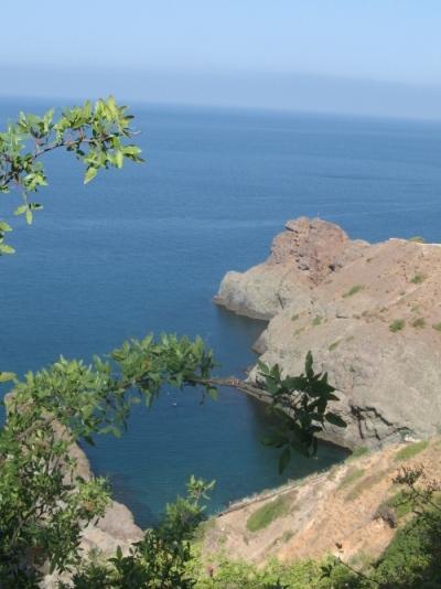 фиолент 2007