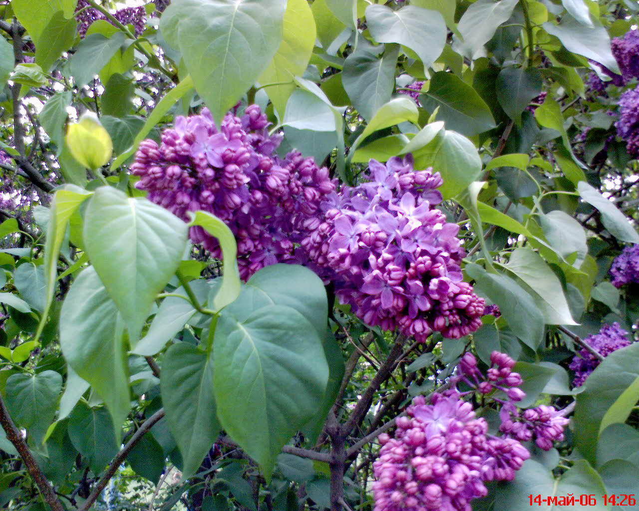 Dsc00024.jpg
