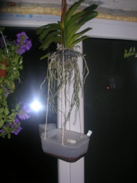 DSCN9101.JPG